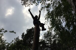 Арбористика — спилить дерево