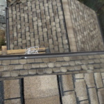 3799469_orig