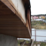 9368824_orig